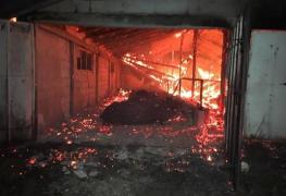 Dezastru la o fermă zootehnică din Brăila, unde 100 de viţei au murit într-un incendiu