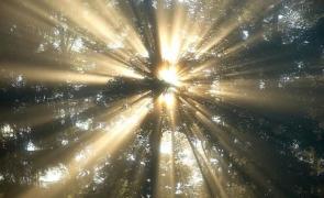 Vremea 8 martie 2018. Prognoza meteo ANM pentru joi, vineri şi sâmbătă