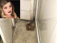 Directorul Spitalului Judeţean Constanţa îi răspunde Alexandrei Stan. Cântăreața s-a declarat șocată de mizeria şi condiţiile din saloane