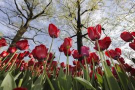 Prognoza meteo ANM în 10 martie 2018 în Bucureşti. Vremea în Capitală pentru weekend şi luni