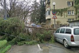 Prăpăd în Mureş. Peste 30 de localităţi fără curent electric, vântul a doborât copaci şi un banner cu reclame