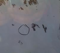 Trupurile lui Octavian, Petru și Constantin, cei trei turişti dispăruţi în munţii Făgăraş, au fost recuperate. Imagini tulburătoare surprinse de salvamontiști