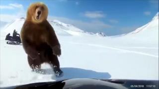 Video: un tânăr evită în ultimul moment atacul unui urs înfometat, într-o urmărire terifiantă, pe zăpadă