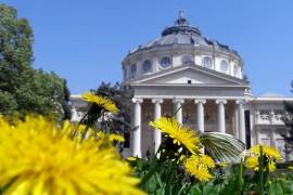 Prognoza meteo pe 14, 15 şi 16 aprilie 2018 în Bucureşti. Vremea e neobişnuit de caldă