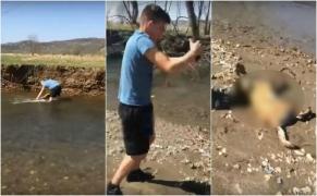 O căţeluşă din rasa ciobănesc belgian, rătăcită de casă, este înecată de doi tineri în râul Timiş, scoasă la mal şi lovită cu parul, până la ultima suflare (Video)