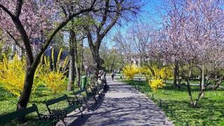 Prognoza meteo 15, 16 și 17 aprilie 2018 în București. Vremea e caldă, dar apar semne de ploaie