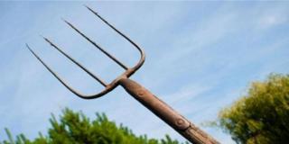 Tânăr din Vaslui în comă după ce un consătean i-a înfipt furca în ochi. A intervenit de urgenţă elicopterul SMURD