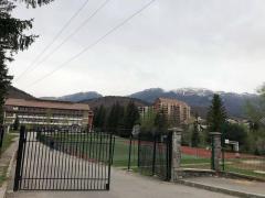 O elevă a accidentat cinci colegi, la o săptămână după ce şi-a luat permisul