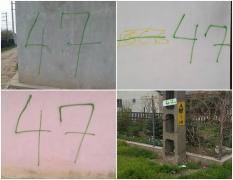 Groază în comuna Lumina. Un număr asociat cu Specii a apărut pe gardurile oamenilor