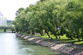 Nepoţelele unui profesor din Oradea au privit cu groază cum bunicul lor se îneacă în Criş