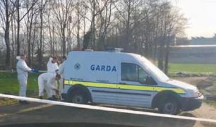 Tânăr de 30 de ani, arestat în cazul morții unui român la Dublin. Ioan a fost bătut crunt într-un parc, după ce i-a trimis fiului rămas în țară 600 euro