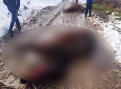 Doi cai au murit după ce au fost electrocutaţi de cablurile aflate sub tensiune căzute pe un drum de pământ (Foto)