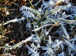 Vremea pe 3, 4 şi 5 aprilie 2018. Prognoza meteo anunţă brumă şi ceaţă