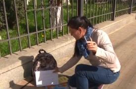 Mama care a acuzat sistemul educațional românesc de eșecul școlar al fiului ei, şi-a retras băiatul de la şcoală