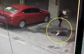 O femeie a fost puternic lovită în cap de un câine, căzut de la etaj