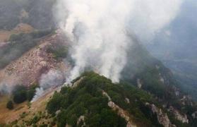 Incendiu devastator la Caraș-Severin, în Parcul Naţional Domogled. Arde pădurea de pin negru, o specie protejată