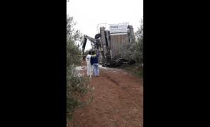 Un român a murit electrocutat în timp ce culegea măsline, în Chile