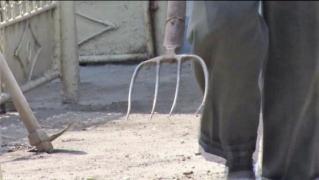 Un bărbat din Dâmboviţa şi-a măcelărit vecinul din dragoste pentru câine