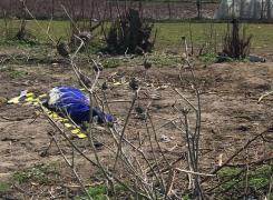 Tragedie în judeţul Constanţa. Un copil a murit după ce a fost lovit de un cal şi târât zeci de metri (Foto)