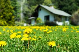 5 lucrări și reparații la casă de care trebuie să te ocupi primăvara