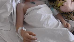 Un băieţel de 9 ani a fost sfâşiat de doi câini, un lup şi un maidanez, într-un parc din Arad. Micuţul a ajuns la spital cu răni cumplite