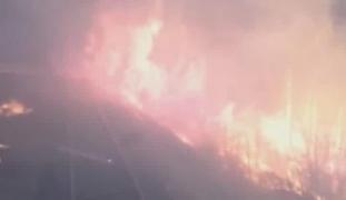 Trenul trece printr-o pădure incendiată din Rusia