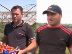 Zeci de "căpșunari" români, tratați ca sclavii în Italia. Titi Spânu, liderul rețelei care a câștigat 100.000 de euro de pe urma lor, plasat în arest la domiciliu