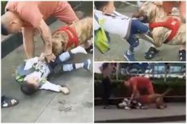 Imagini teribile. Un băieţel de 4 ani a fost sfâşiat pe stradă de un pitbull, sub ochii îngroziţi ai bonei sale