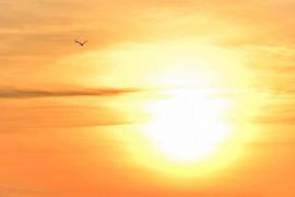 ANM a publicat prognoza meteo pentru vara 2018! Cum va fi vremea în lunile iunie, iulie şi august