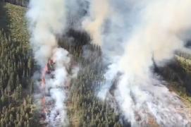 Arde pădurea în masivul Ciucaș. Se intervine cu elicopterul pentru stingerea flăcărilor (Video)