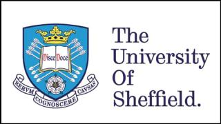 Bursa oferită de Observator şi Universitatea Sheffield a fost câştigată