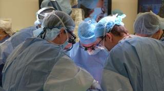 Cum se vor modifica salariile în sănătate. Olguța Vasilescu și Sorina Pintea au negociat timp de 12 ore noua Lege a salarizării