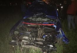 Accident cumplit la Adjud. Trei cai au fost izbiţi pe şosea de un autoturism