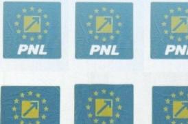PNL a contestat la Curtea Constituţională înfiinţarea Fondului Suveran de Dezvoltare şi Investiţii