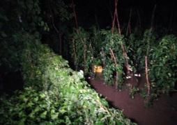 O furtuna devastatoare a distrus mai multe locuinţe la Galaţi, noaptea trecută