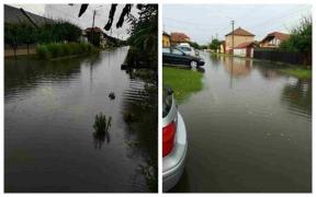 Potop la Arad. Zeci de case inundate şi copaci puşi la pământ de vijelii (Video)