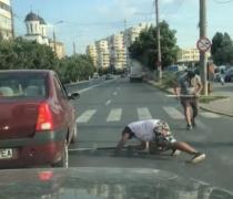 Patru hingheri au oprit traficul ca să prindă un căţeluş speriat