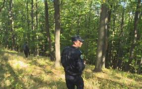 Copilul de 8 ani, pierdut de tată într-o pădure din Braşov a fost găsit