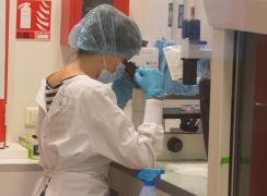 Programul de fertilizare in vitro demarat de Primăria Bucureşti are deja 350 de cupluri