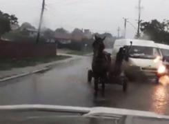 Un cioban face legea în Negrești ca pe vremea lui Ștefan cel Mare