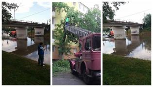 Furtună devastatoare în Arad. Pasaje și subsoluri inundate, copaci smulși de vânt, mașini avariate (Foto, Video)