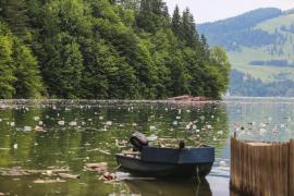 Tone de gunoaie si sticle de plastic au fost aruncate in lacul Bicaz
