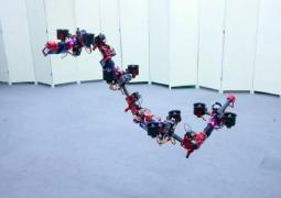 Drona dragon inventată de cercetătorii japonezi