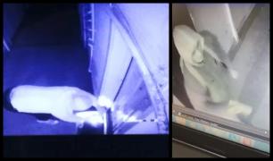 Panică la bloc, un piroman incendiază uşile apartamentelor! Poliţia din Târgu-Jiu cere ajutorul populaţiei