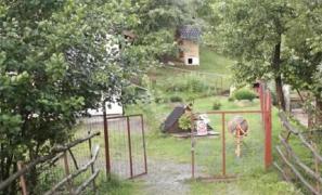 Tragedie într-o familie din Cluj. Fiul cel mare s-a spânzurat la două zile după ce se încrisese la facultate