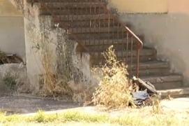 Moarte violentă pentru un român din Italia. Medicii au numprat 30 de înţepături de albine pe corpul lui