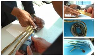 Unghiile lui Shridhar Chillal au fost achiziționate de muzeul Ripley