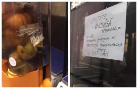 O cafenea Starbucks din Timişoara a fost închisă din cauza gândacilor