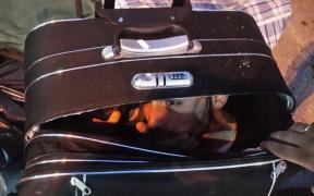 Ce a păţit Andrei, tânărul din Buzău prins de vameşii britanici cu un vietnamez în valiză