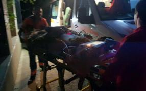 Un băieţel de 11 ani care-şi petrecea vacanţa la bunici, în Botoşani, a ajuns în comă alcoolică la spital. A băut ţuică, în sat